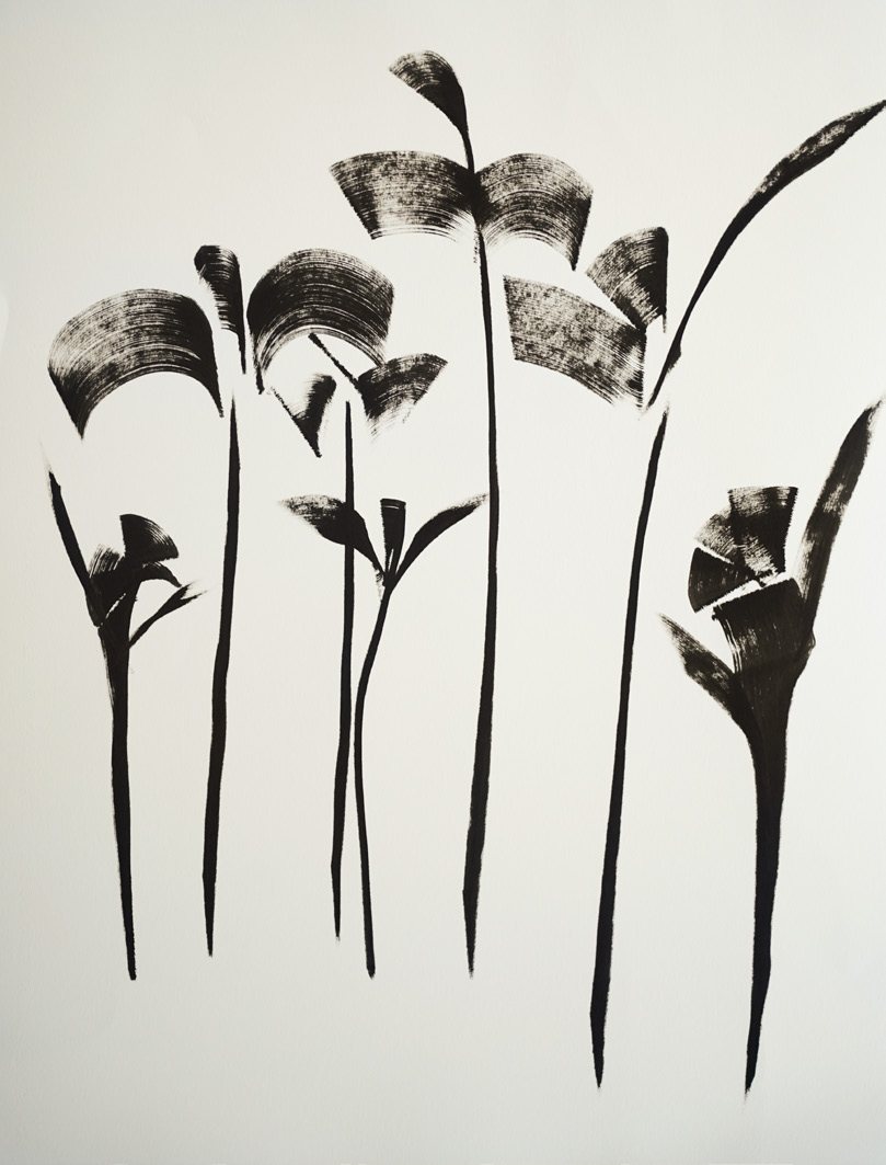 Black floral forms